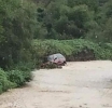 Primero Querían Agua..